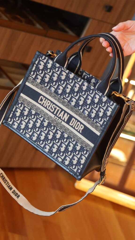 Dior Book Tote Small Oblique