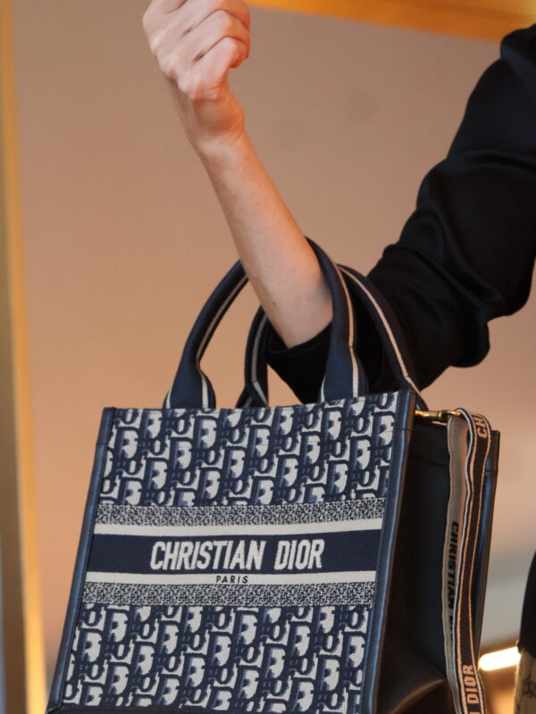Dior Book Tote Small Oblique